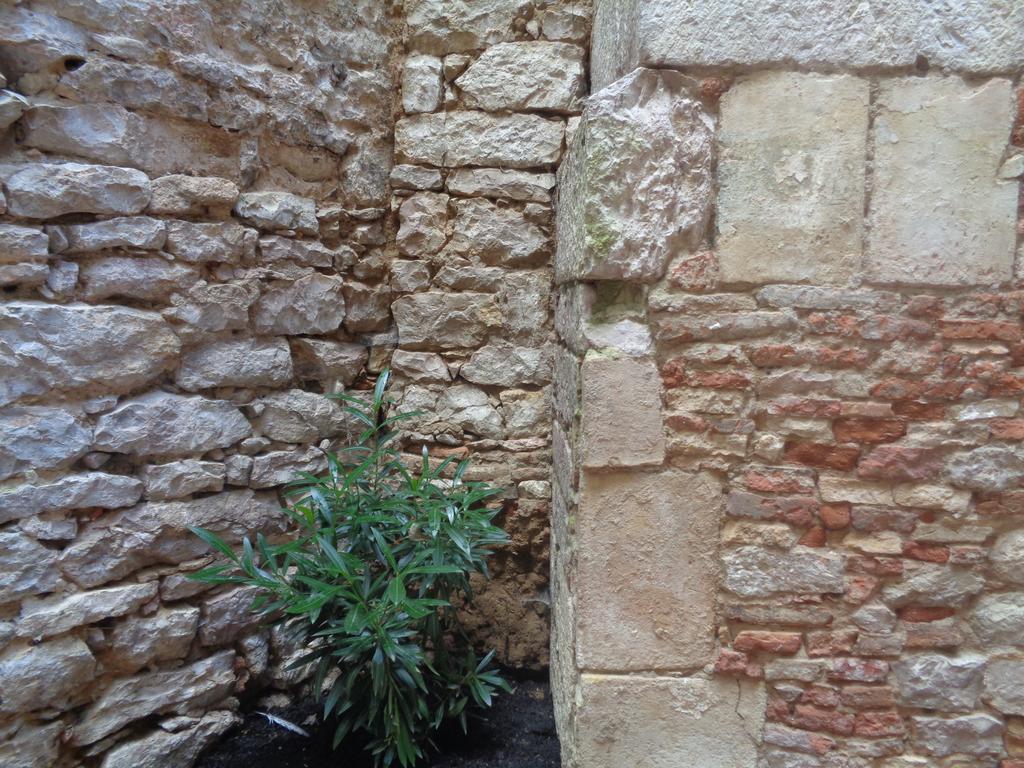 B&B Le Chat Qui Dort Montricoux Εξωτερικό φωτογραφία